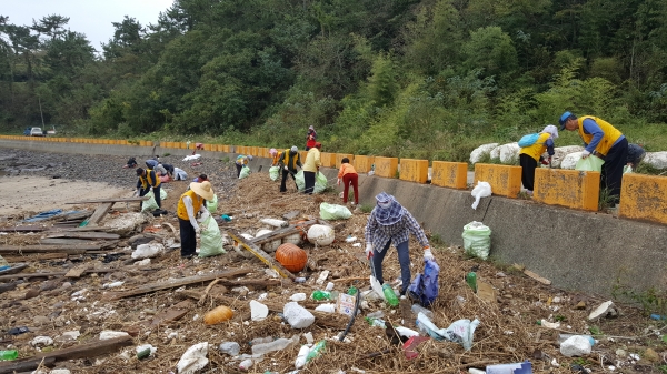 태풍 ‘미탁’ 피해 복구 환경 정비나선 사천시 향촌동 모례마을 어촌계 주민들.