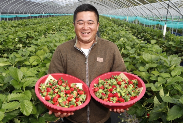 산청군농업기술센터는 딸기 생산 전문 농업인을 육성하기 위해 ‘2020 산엔청농업인대학 명품딸기 과정’ 교육생을 오는 15일까지 모집한다고 밝혔다.