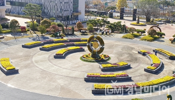 국화꽃으로 단장한 대장경기록문화테마파크 광장.