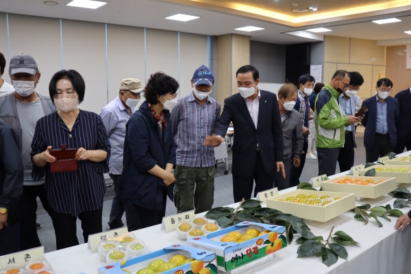 진주문산농협은 지난 21일 문산농협 로컬푸드 하나로마트 2층 대회의실에서 신품종 ‘올누리단감’ 시식 행사를 개최했다./사진=진주 문산농협.