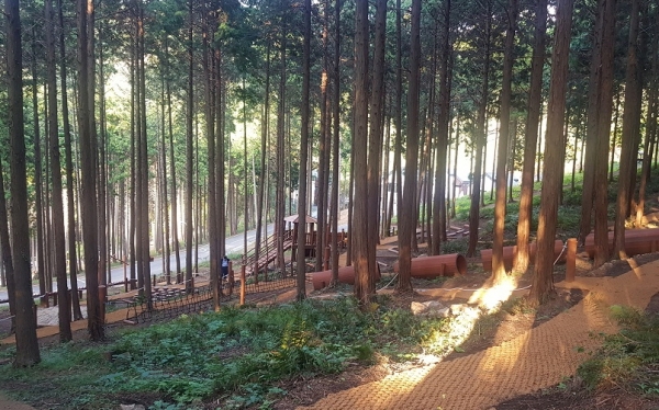사천케이블카자연휴양림 유아숲체험원