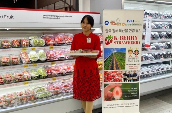 김해 딸기 인도네시아 자카르타 판촉 행사